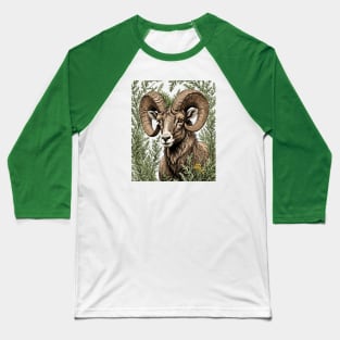 Nevada Desert Bighorn Sheep And Sagebrush 1 Baseball T-Shirt